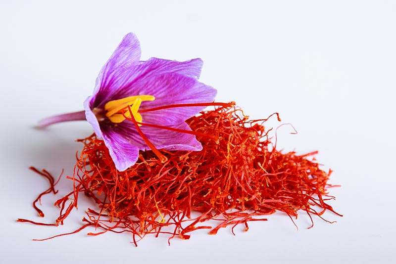 6 cach uong nhuy hoa nghe tay chua mat ngu hieu qu 679d8f5a284e6